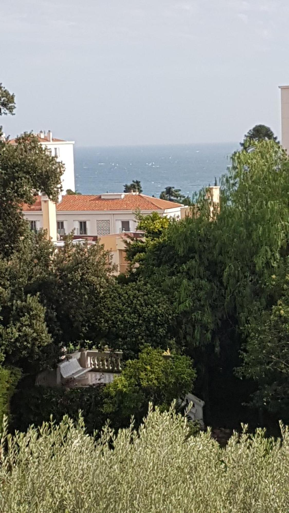 Les Palmiers A 700m De La Apartment *