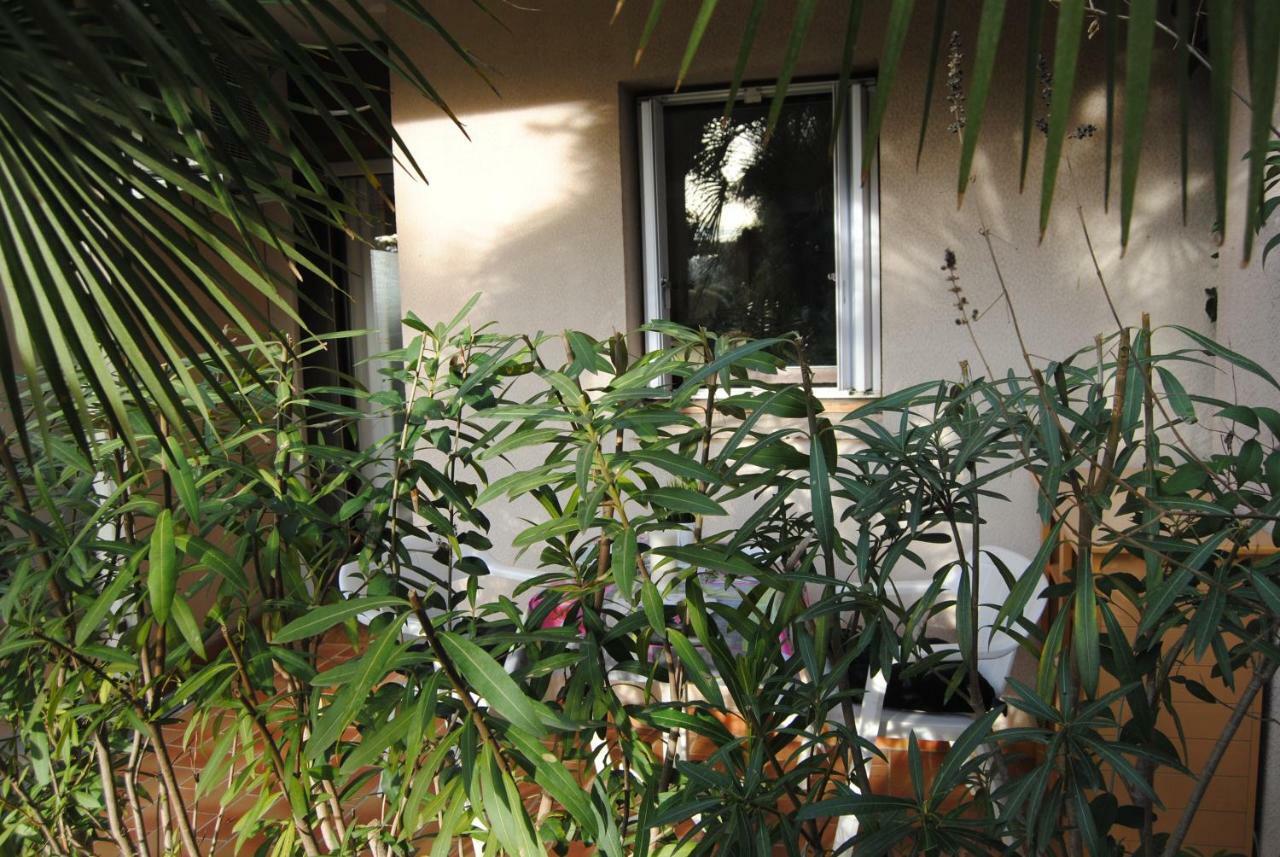 Apartment Les Palmiers A 700m De La